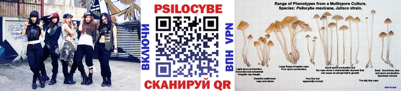 Псилоцибиновые грибы Psilocybine cubensis  Купить закладки  Новосибирск 