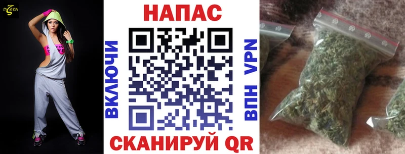 Купить закладки  Новосибирск  Канабис MAZAR 